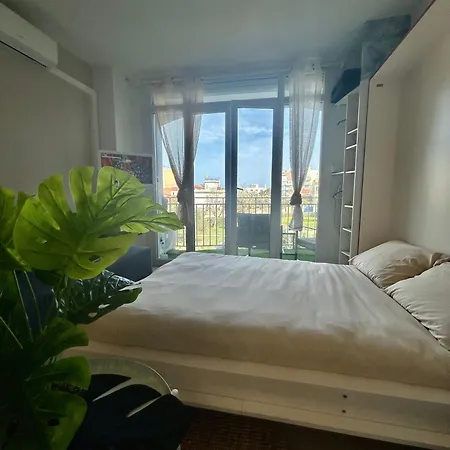 Elegant - & Soleil * كانيه